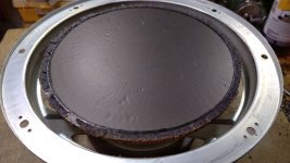 WhatsApp Image 2022-04-01 at 17.13.17.jpg