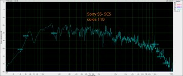 sony cs5.jpg