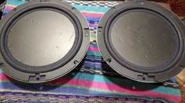 WhatsApp Image 2022-04-01 at 23.43.06.jpg