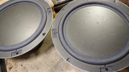 WhatsApp Image 2022-04-02 at 00.09.49.jpg