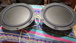 WhatsApp Image 2022-04-02 at 00.20.45.jpg