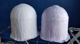 2021-02-17 09-57-25.JPG