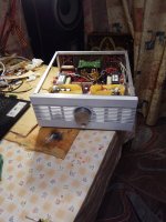IMG_20220429_195239.jpg