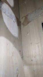 WhatsApp Image 2022-06-25 at 23.09.48.jpg WhatsApp Image 2022-06-25 at 23.09.48.jpg