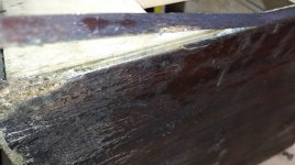 WhatsApp Image 2022-06-28 at 02.53.451.jpg