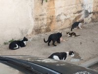 photo_2022-07-06_18-35-33.jpg