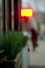 Canon FD 135-2.5--8610.jpg