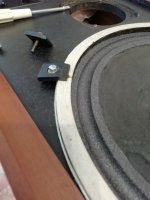 IMG_20220605_175159.jpg