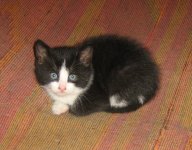 IMG_1277.jpg