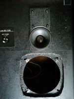 IMG_20220703_102958.jpg