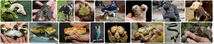 Screenshot_30.jpg Screenshot_30.jpg