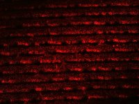 IMG_074.JPG