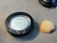 IMG_20230215_130119.jpg IMG_20230215_130119.jpg