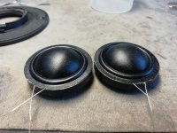 IMG_20230215_131137.jpg IMG_20230215_131137.jpg