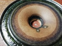 IMG_20220727_211156.jpg IMG_20220727_211156.jpg