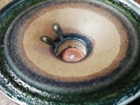 IMG_20220727_211208.jpg IMG_20220727_211208.jpg