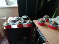 IMG_20220731_172236.jpg IMG_20220731_172236.jpg