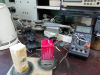 IMG_20220805_150332.jpg IMG_20220805_150332.jpg