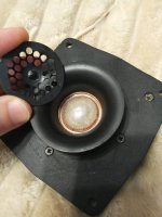 IMG_20230531_204758.jpg IMG_20230531_204758.jpg