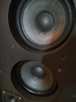 IMG_20230622_162506.jpg