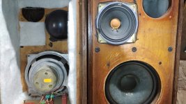 WhatsApp Image 2023-07-12 at 21.50.48-1.jpeg