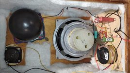 WhatsApp Image 2023-07-13 at 13.07.45.jpeg