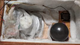 WhatsApp Image 2023-07-13 at 15.00.18-1.jpeg