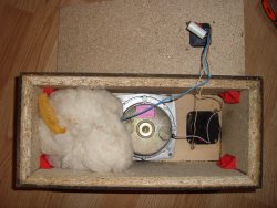 DSC06648_resiz  (1).JPG