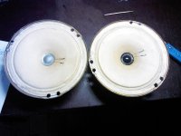 IMG01645.jpg IMG01645.jpg