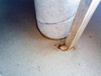 IMG02016.jpg IMG02016.jpg