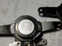 IMG_20230823_175038.jpg