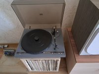 20230915_131126.jpg