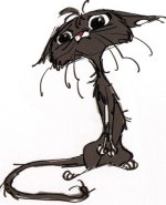 b928d547afa68993eac60d8bfbc2ceeb (1).jpg