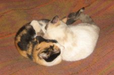 IMG_2027.jpg