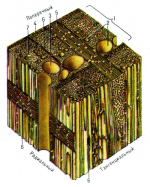 7582C4D0-E603-43AE-B94E-BF3BB7117167.png