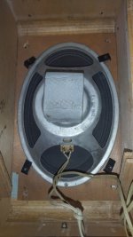 IMG_20231106_200735.jpg