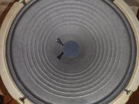 IMG_20231126_160749.jpg