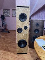 IMG_9111.jpeg IMG_9111.jpeg