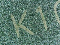 1206-9.jpg 1206-9.jpg