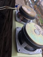 A90ED3A5-9068-49C6-AF62-8CC21EFBD479.jpeg A90ED3A5-9068-49C6-AF62-8CC21EFBD479.jpeg