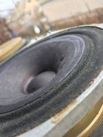 F1A1E184-B73B-4B14-B8E2-485E5603497C.jpeg F1A1E184-B73B-4B14-B8E2-485E5603497C.jpeg