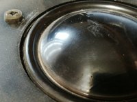 IMG_20240502_185250.jpg