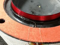 IMG_20240502_185616.jpg