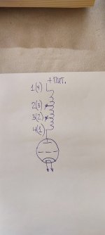 IMG_20240609_173556.jpg