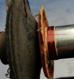 IMG_20240606_141535.jpg IMG_20240606_141535.jpg