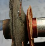 IMG_20240606_141542.jpg IMG_20240606_141542.jpg