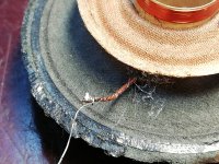 IMG_20240607_085444.jpg IMG_20240607_085444.jpg