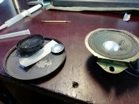 IMG_20240607_103541.jpg IMG_20240607_103541.jpg