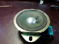 IMG_20240607_103532.jpg IMG_20240607_103532.jpg