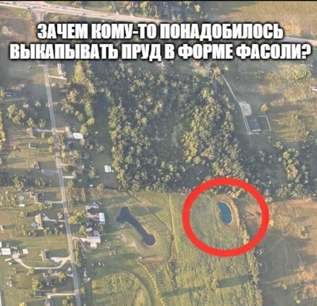 20196126.jpg